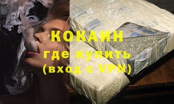 шишки Горнозаводск