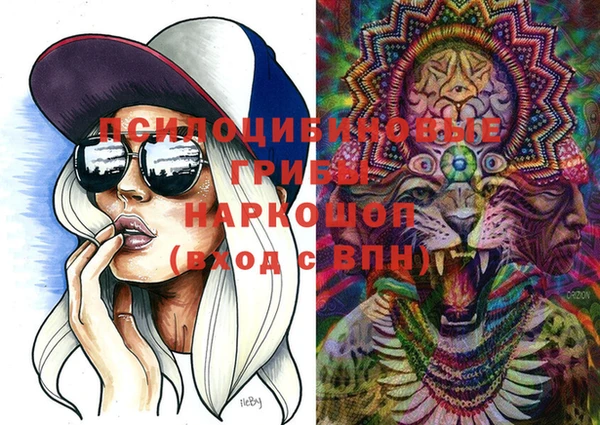 шишки Горнозаводск