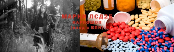 шишки Горнозаводск